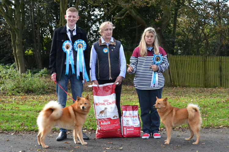 Best Dog & BIS Sukunimi Charlie with Karl Marriott (on the left) and Best Bitch & Reserve Best in Show Toveri Tuula with Hannah Thompson. Judge Mrs Irene Slater in the middle.
